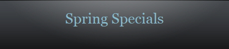 Spring Specials
